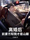 离婚后,前妻方知我才是山巅